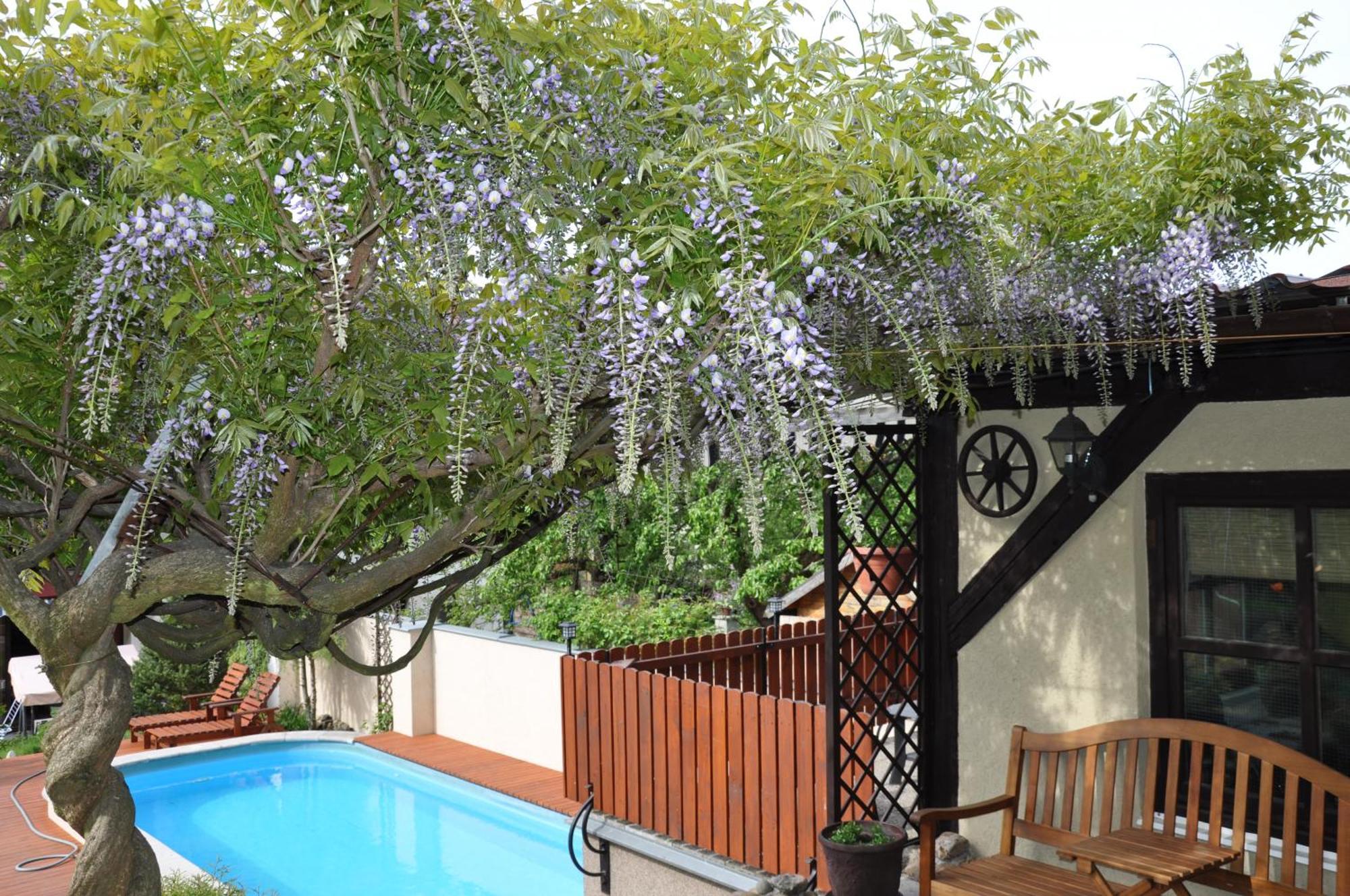 Apartman Bila Hora - Roudna เปิลเซน ภายนอก รูปภาพ